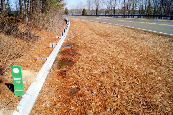 Short passages along roads are common on the Falls Lake portion of the MST.