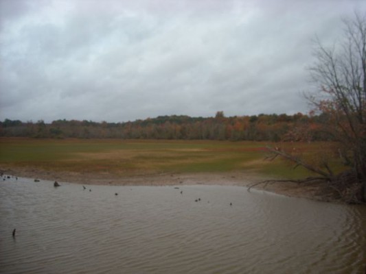 A view of the lake, in drought times.