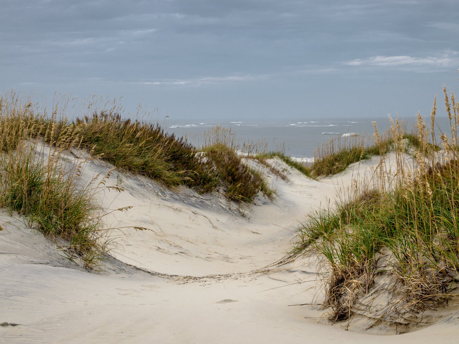 Pea Island Dunes | Photo © Paul Travis