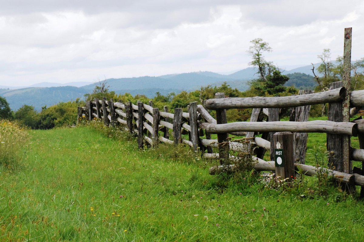Mountains to Sea Trail - 14997141800 7f95adae79 H 1200x800