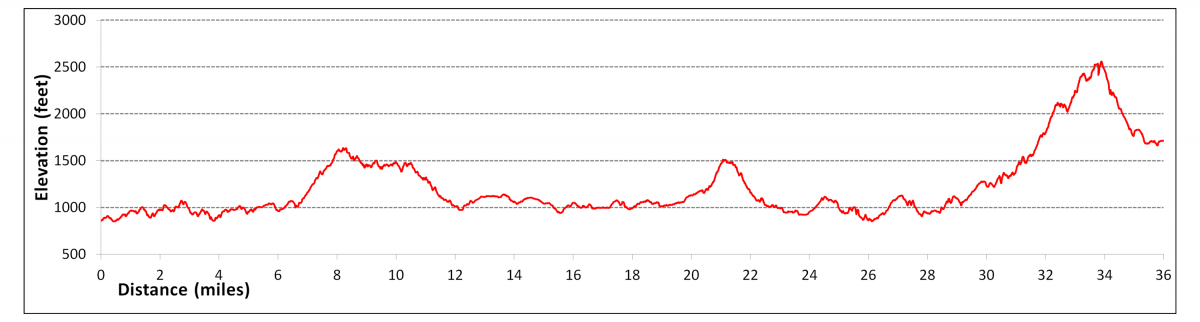 Segment 7 profile Segment 7 Elevation