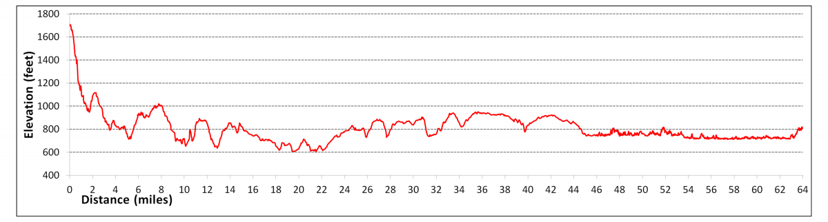 Segment 8 profile Segment 8 Elevation