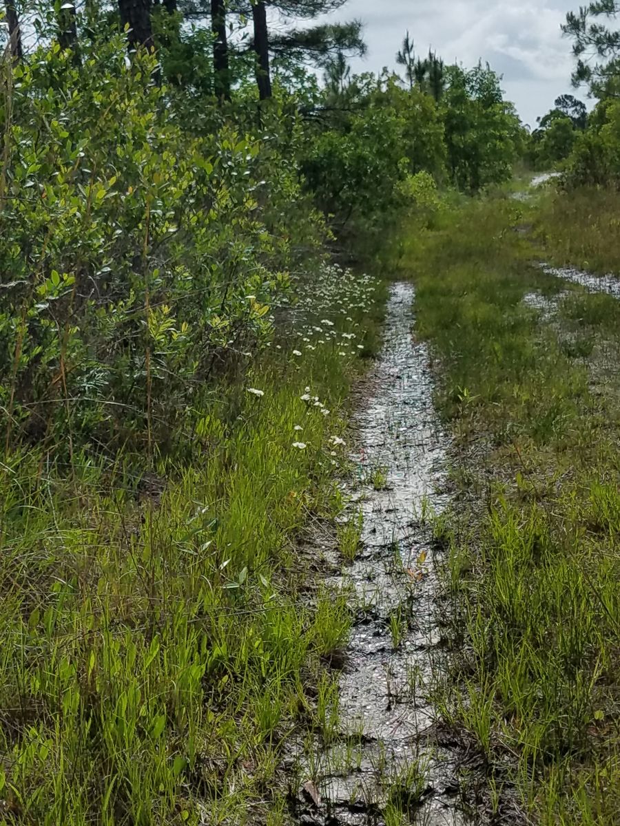 20180522_100725