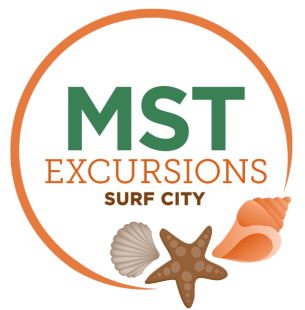 MST EXCURSIONS MST EXCURSIONS