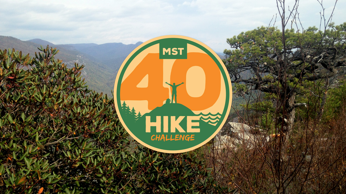 MST 40 Hike Challenge