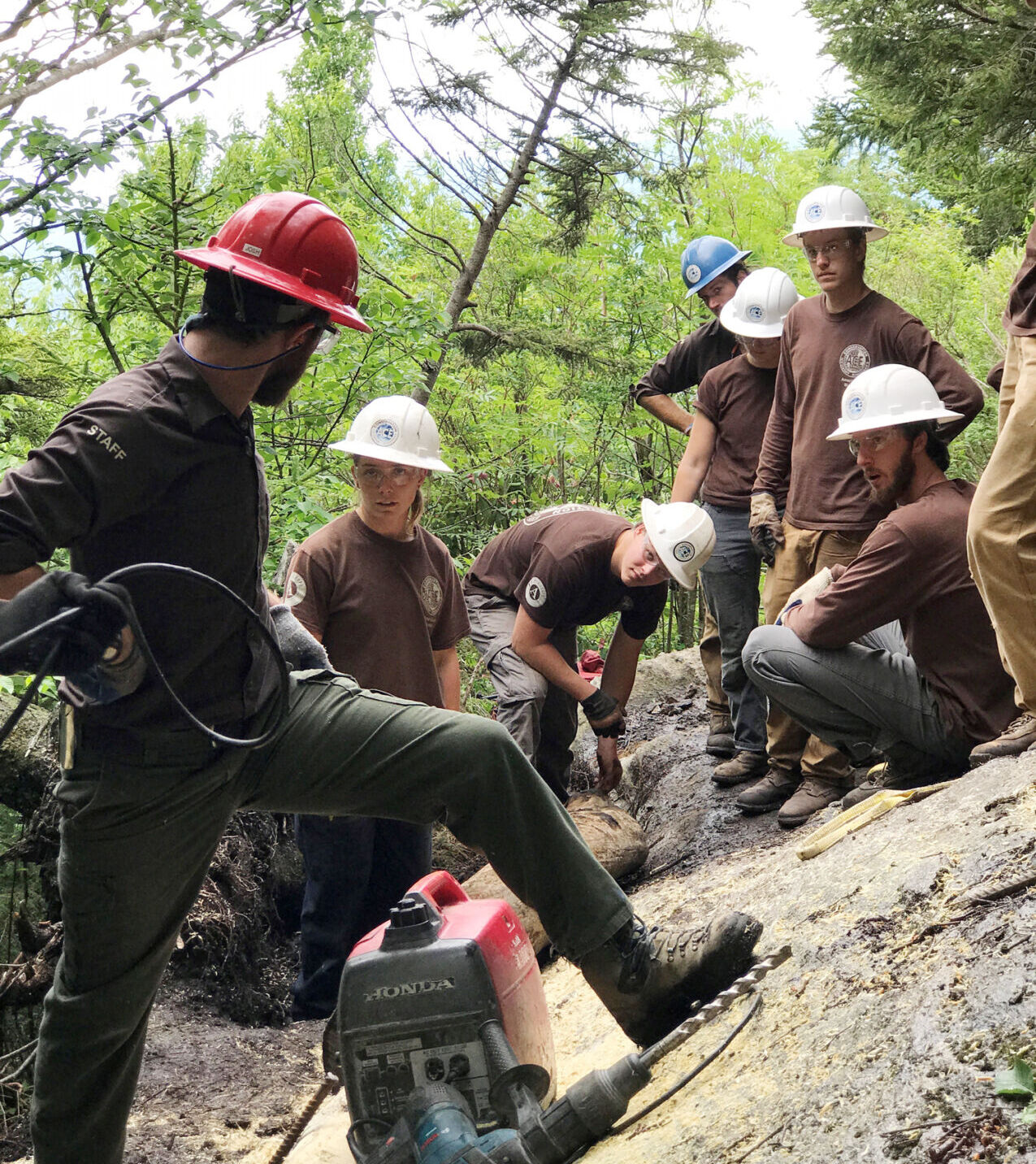 Mt. Mitchell Trail restoration