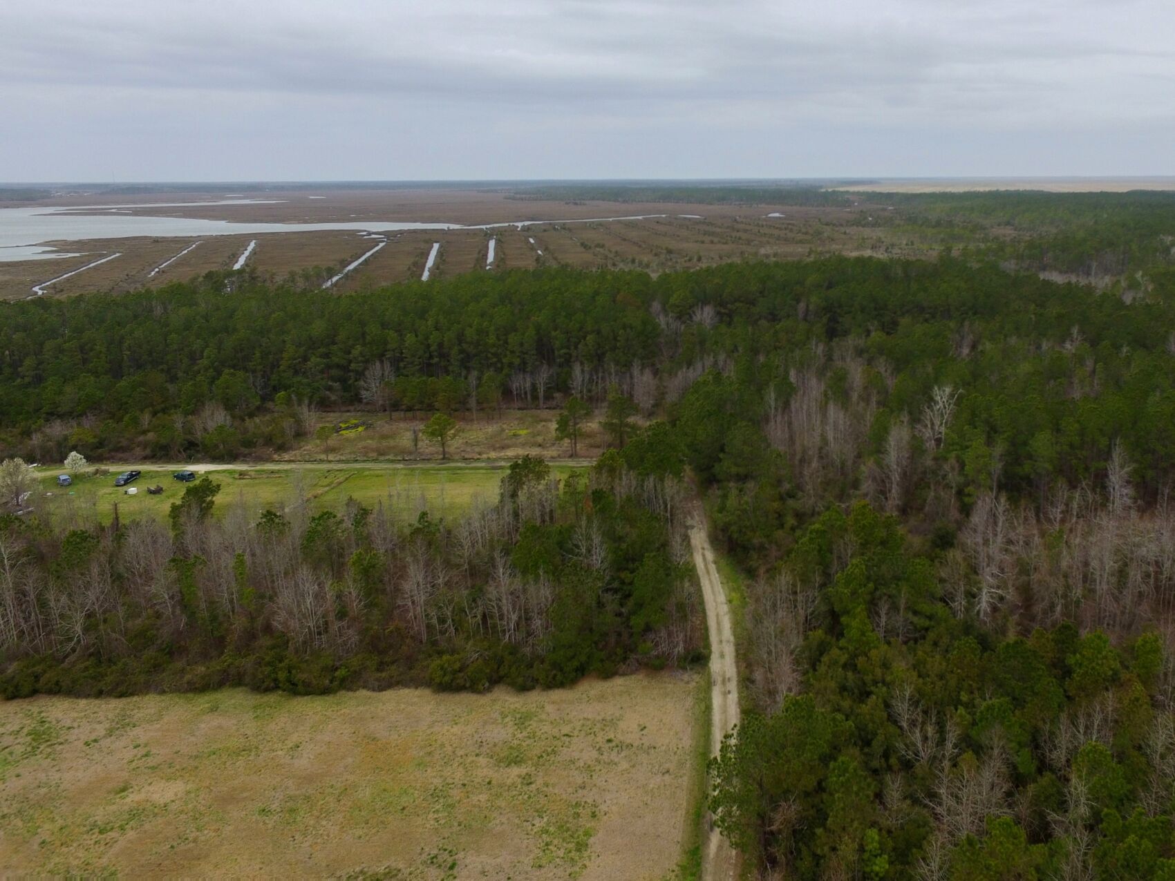 North River Wetlands Preserve