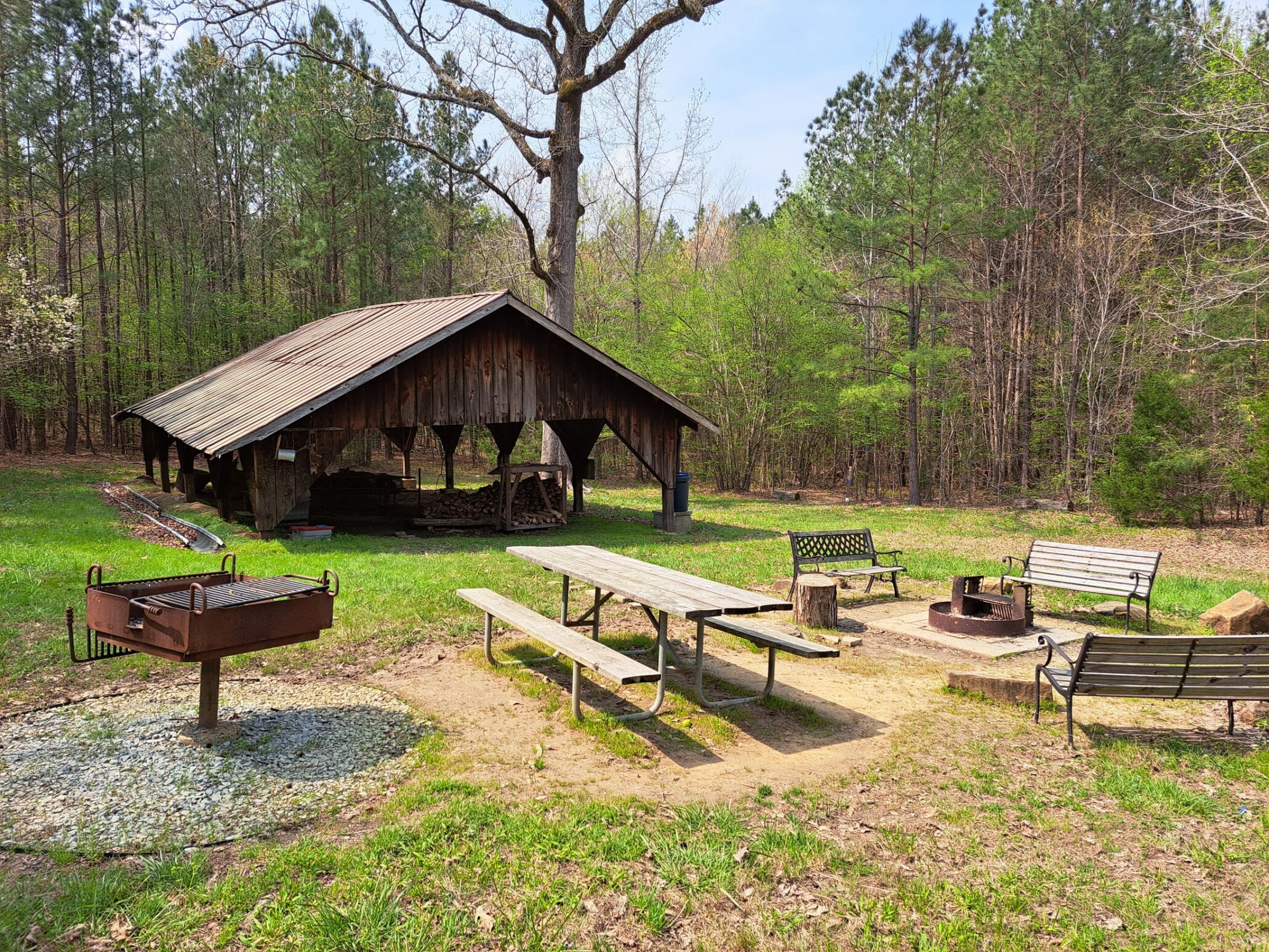 Ward's Farm Campsite | Mountains-to-Sea Trail